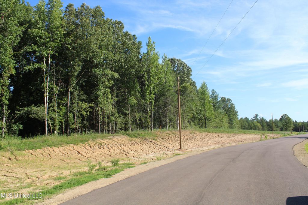 8420 Milne Way, Hernando, MS 38632 — photo 2