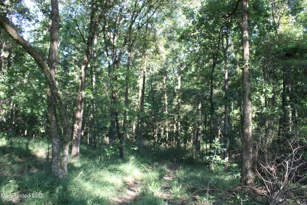 8420 Milne Way, Hernando, MS 38632 — photo 3