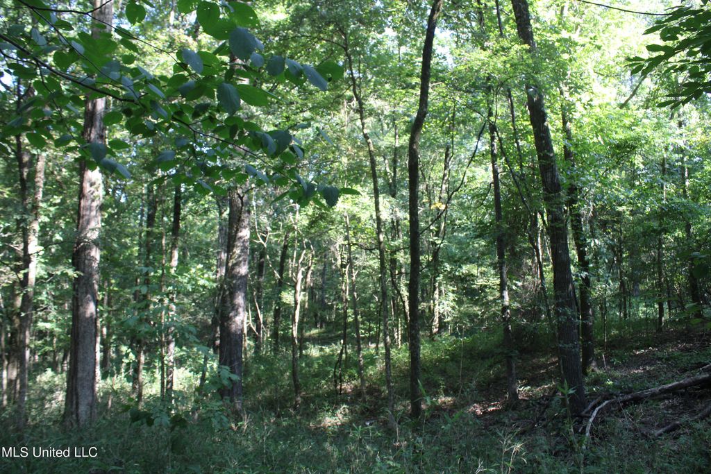 8420 Milne Way, Hernando, MS 38632 — photo 4