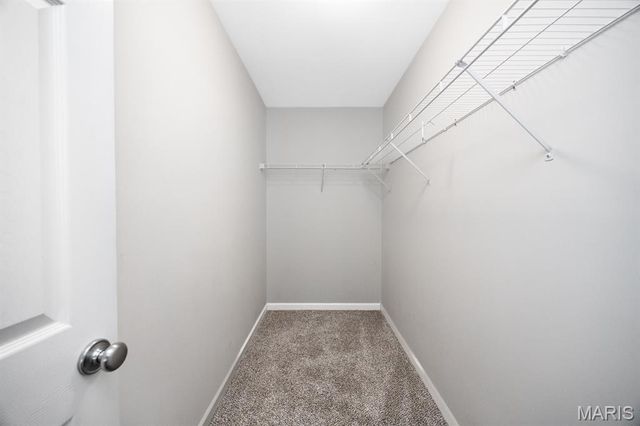 3020 Blackwood Drive, Belleville, IL 62221