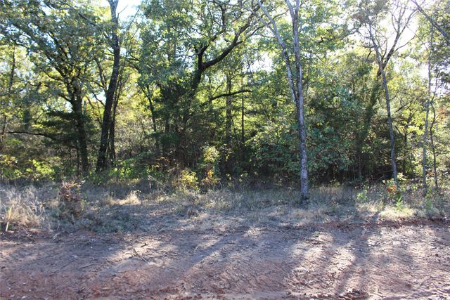 0 cayote springs, Gordonville, TX 76245