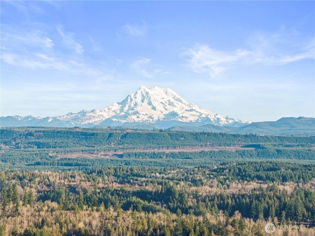 12811 Kapowsin Highlands Drive E, Graham, WA 98338