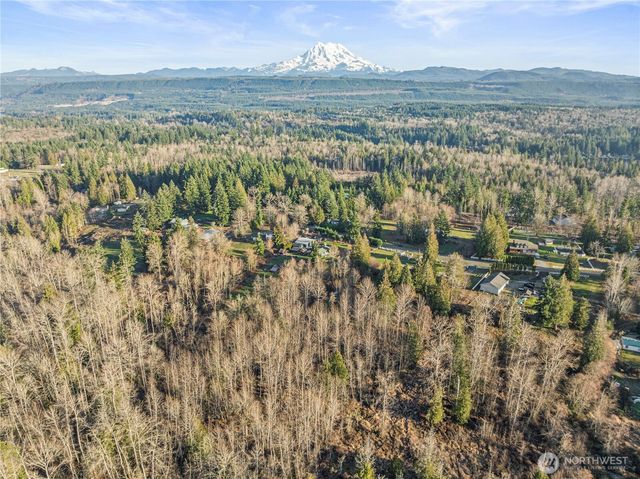 12811 Kapowsin Highlands Drive E, Graham, WA 98338