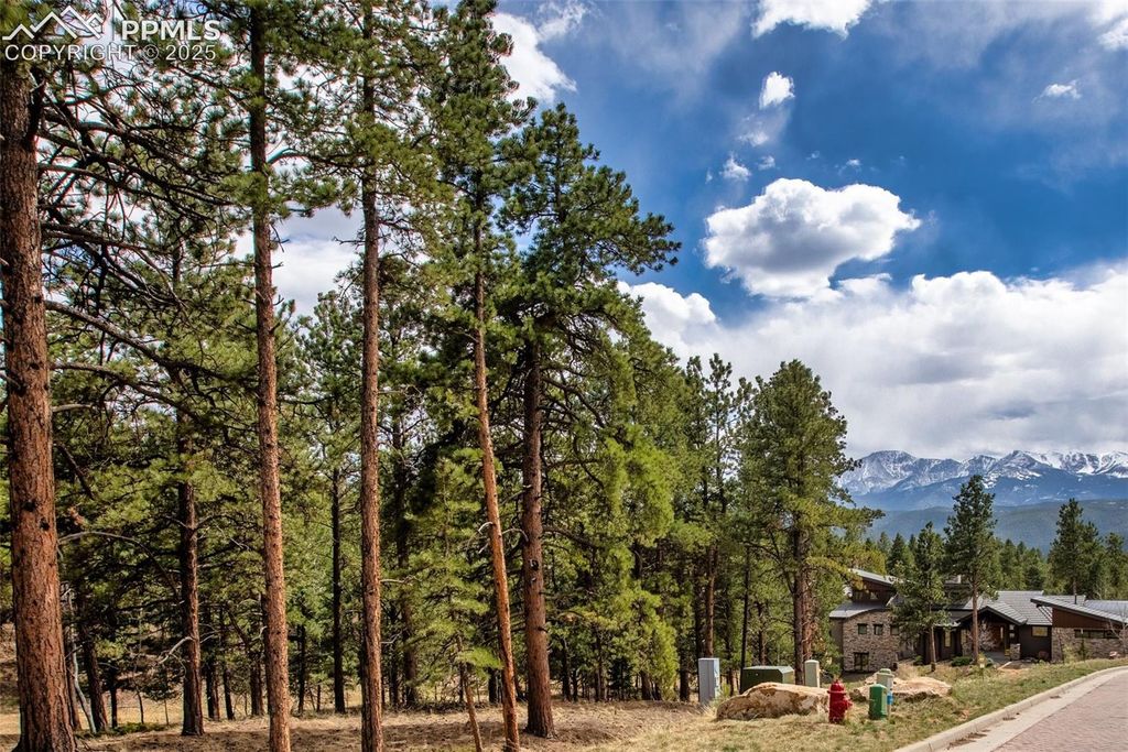 271 Thunder Ridge Drive, Woodland Park, CO 80863 — exterior
