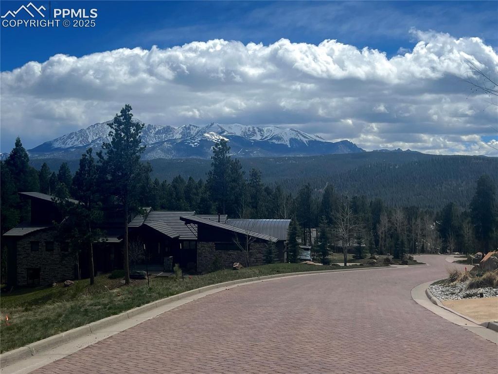 271 Thunder Ridge Drive, Woodland Park, CO 80863 — photo 3