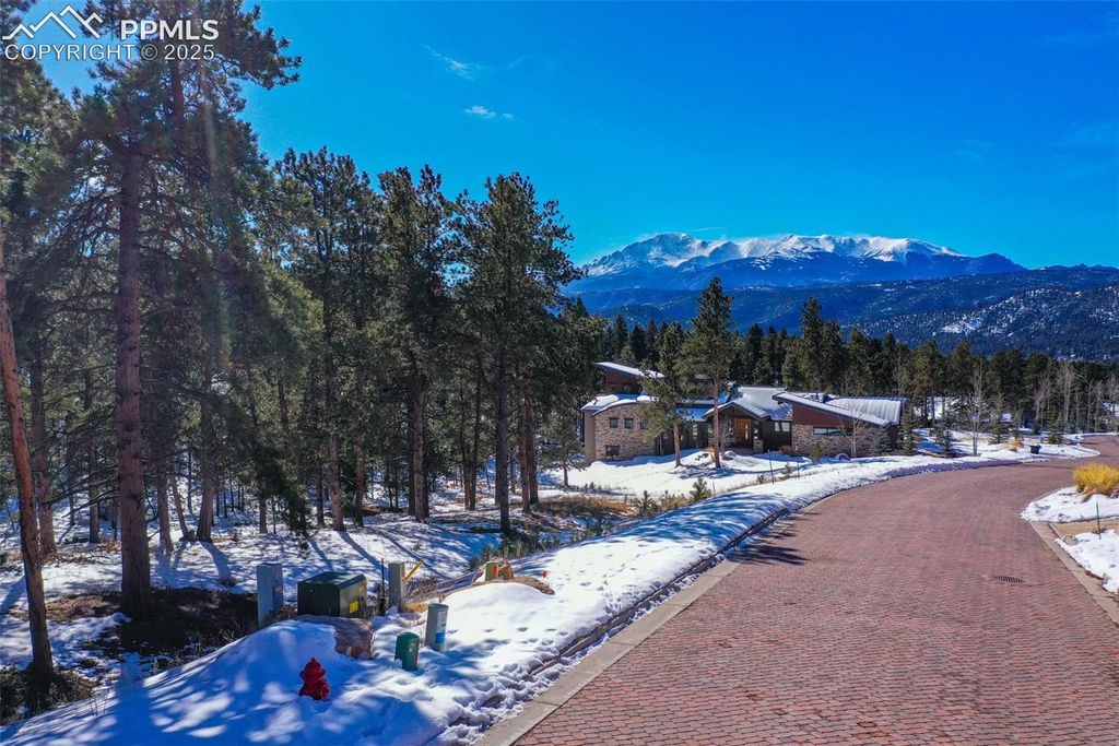 271 Thunder Ridge Drive, Woodland Park, CO 80863 — photo 4
