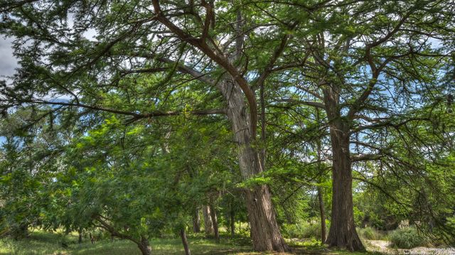 154 Weston, Leakey, TX 78873