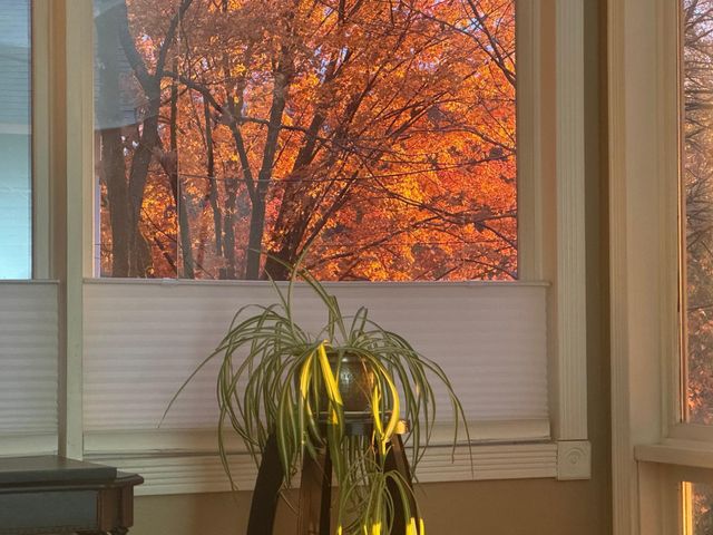 338 S Jefferson Street, Saint Croix Falls, WI 54024