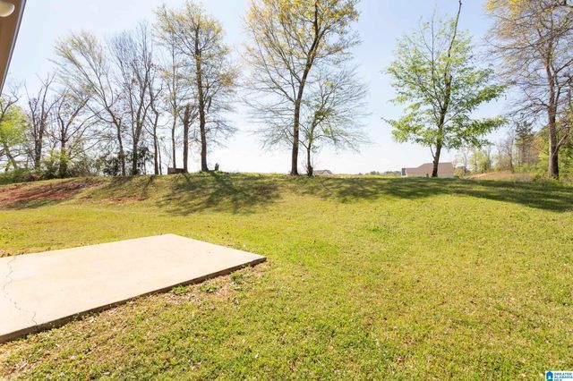 111 HADLEY COURT, Lincoln, AL 35096