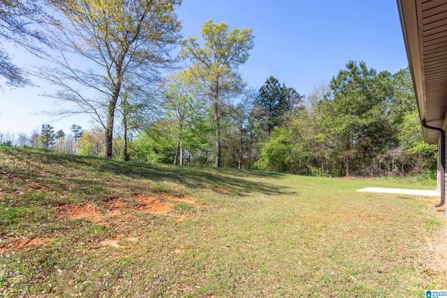 111 HADLEY COURT, Lincoln, AL 35096