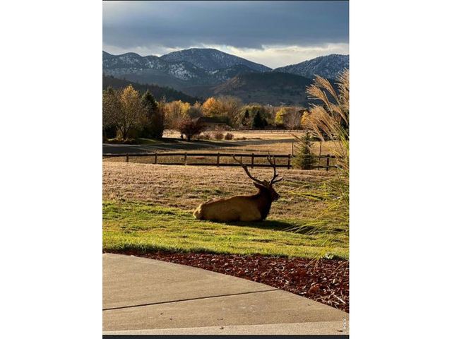 6009 Pronto Way, Loveland, CO 80538