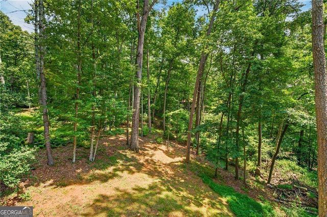 649 Power Dam Road, Blue Ridge, GA 30513