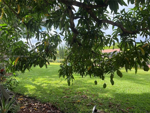 1544 Springside Dr 1544, Weston, FL 33326