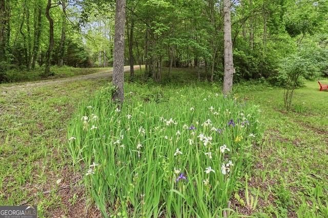 320 Sweetwater Drive, Clarkesville, GA 30523