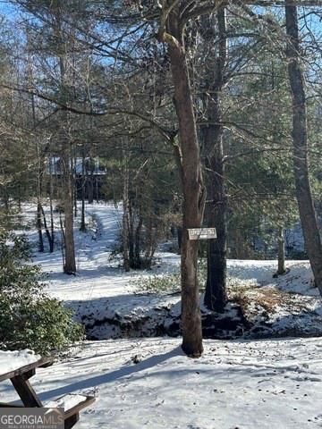 320 Sweetwater Drive, Clarkesville, GA 30523