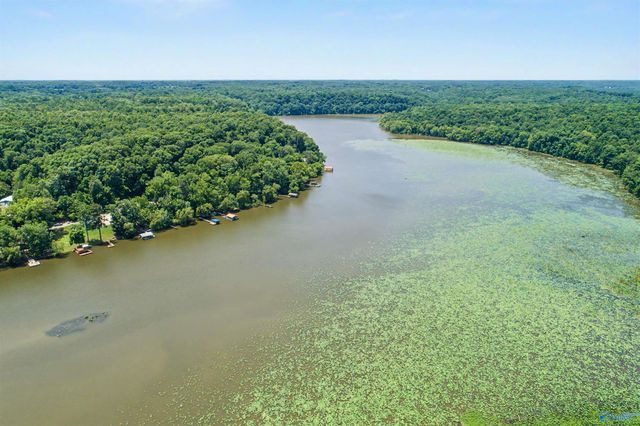 21568 Sugar Creek Estates Road NW, Athens, AL 35614