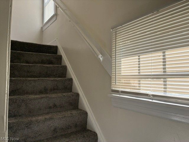 3675 W 103rd Street, Cleveland, OH 44111
