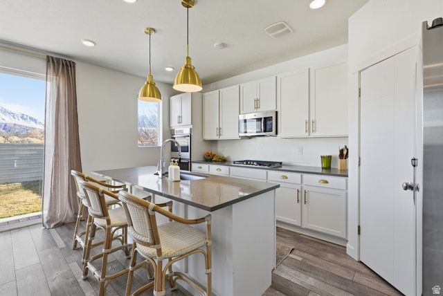 576 N 290 E, Vineyard, UT 84059