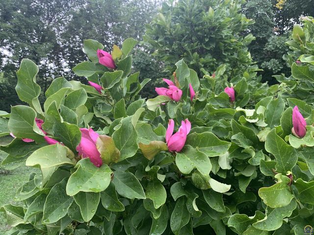 5055 W 117th ST, Carbondale, KS 66414