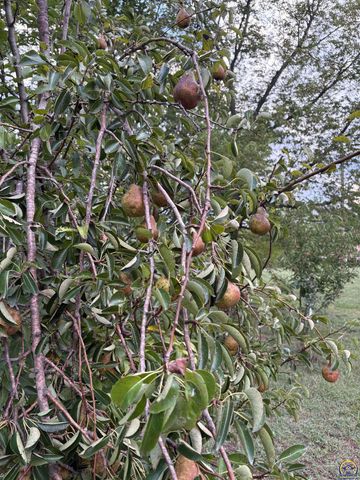 5055 W 117th ST, Carbondale, KS 66414