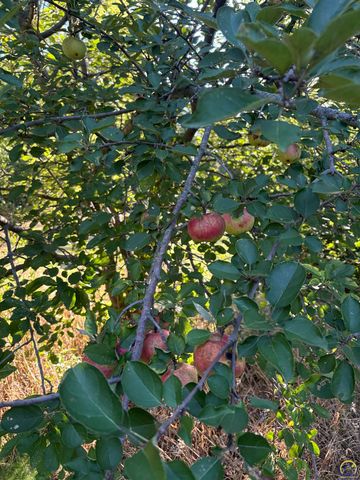 5055 W 117th ST, Carbondale, KS 66414