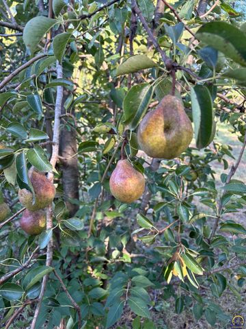 5055 W 117th ST, Carbondale, KS 66414