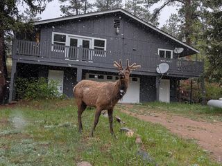 163 West Creek Rd, Glen Haven, CO 80532