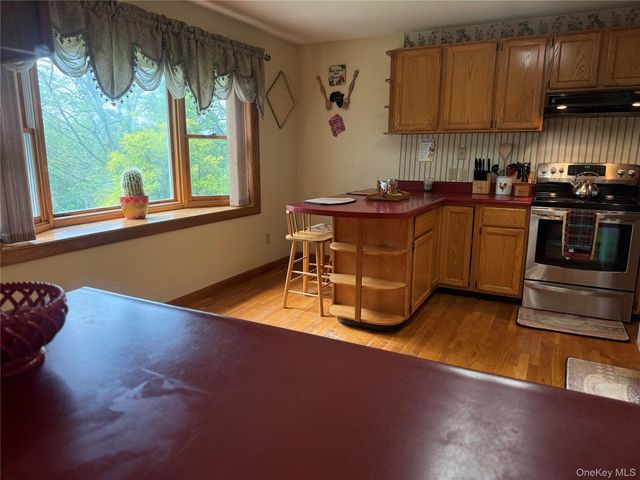 4 Chaucer Road, Staatsburg, NY 12580