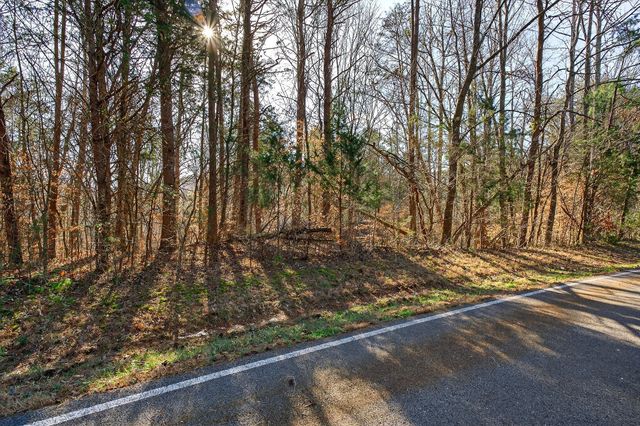 305 Caney Bend Rd, Doyle, TN 38559