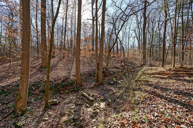 305 Caney Bend Rd, Doyle, TN 38559