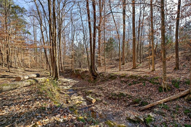 305 Caney Bend Rd, Doyle, TN 38559