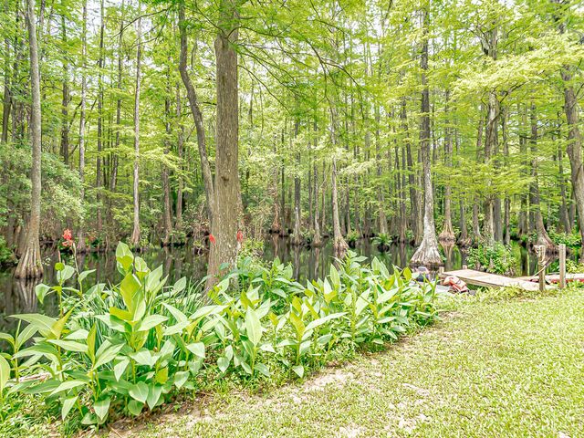 2482 Whites Mill Road, Sumter, SC 29153