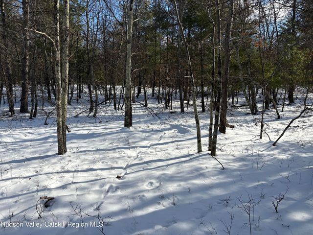 Tbd Route 28a, West Hurley, NY 12491