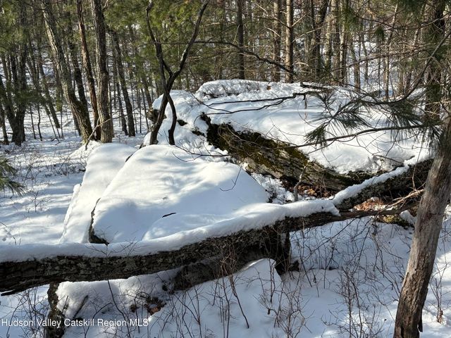 Tbd Route 28a, West Hurley, NY 12491