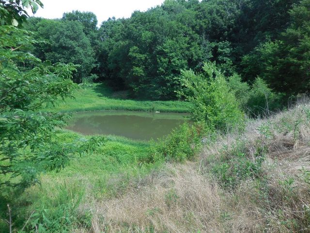 0 Flynns Lick Lane, Gainesboro, TN 38562