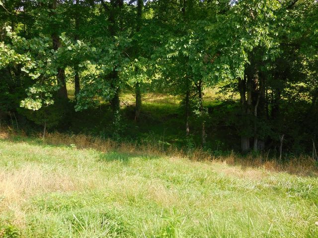 0 Flynns Lick Lane, Gainesboro, TN 38562