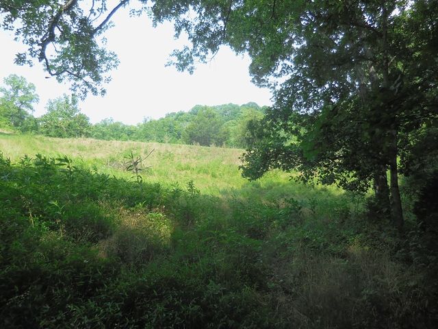 0 Flynns Lick Lane, Gainesboro, TN 38562