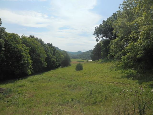 0 Flynns Lick Lane, Gainesboro, TN 38562