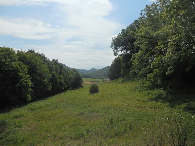 0 Flynns Lick Lane, Gainesboro, TN 38562