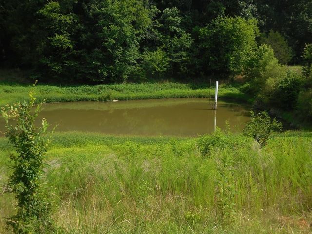 0 Flynns Lick Lane, Gainesboro, TN 38562