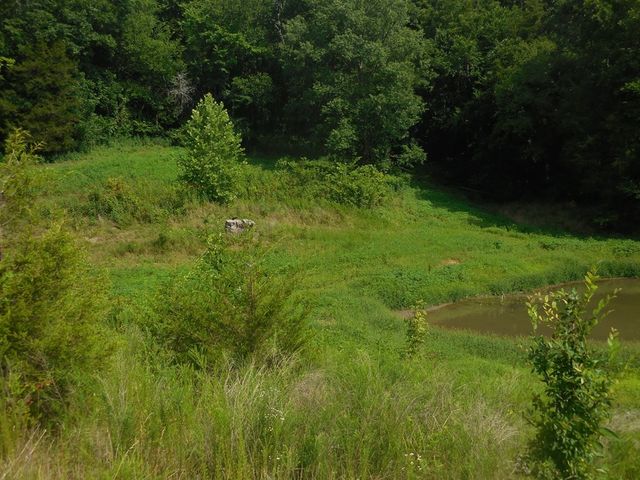 0 Flynns Lick Lane, Gainesboro, TN 38562