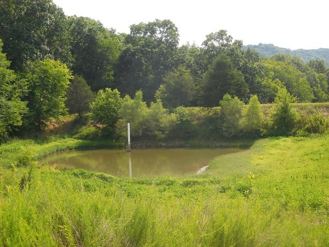 0 Flynns Lick Lane, Gainesboro, TN 38562