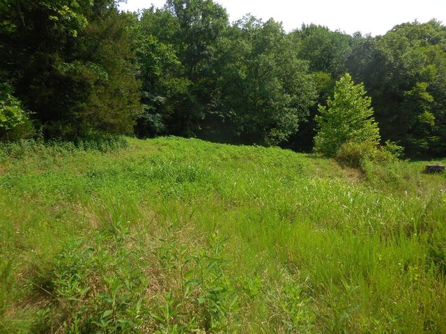0 Flynns Lick Lane, Gainesboro, TN 38562