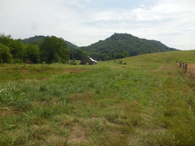 0 Flynns Lick Lane, Gainesboro, TN 38562