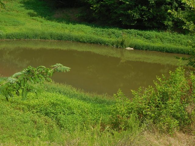 0 Flynns Lick Lane, Gainesboro, TN 38562