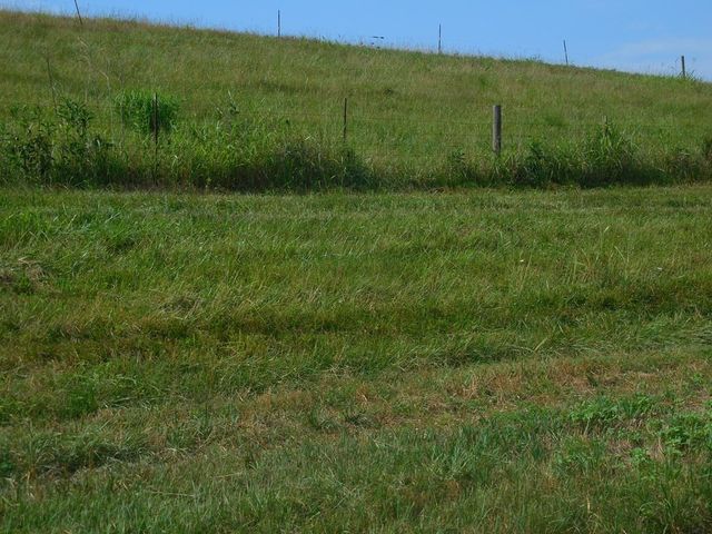 0 Flynns Lick Lane, Gainesboro, TN 38562
