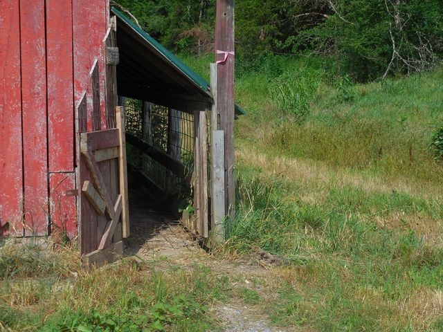 0 Flynns Lick Lane, Gainesboro, TN 38562