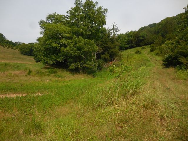 0 Flynns Lick Lane, Gainesboro, TN 38562
