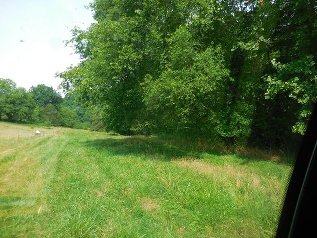 0 Flynns Lick Lane, Gainesboro, TN 38562