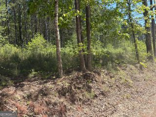 7500 Tyree Road, Winston, GA 30187